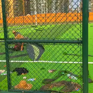 ��ɫ����¥��դ��������˿����Χ������Χ������ѧУ�ٳ�����