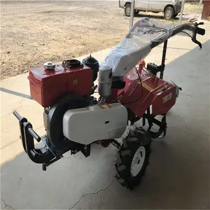 С�������� ������������� �������������� ����