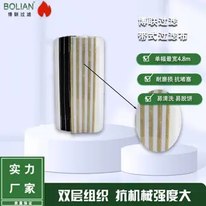 厂家直供真空带式滤布 双层单丝 聚酯纤维(涤纶)抗机械强度大