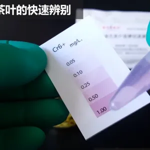 染色茶叶美术绿检测方法 茶叶中铬快速检测试剂盒现货 20支/包