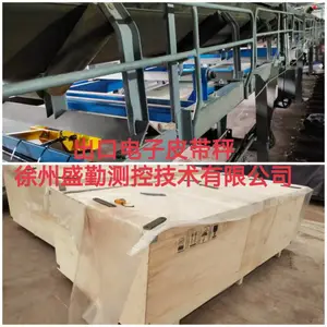 出口皮带秤ICS系列,徐州盛勤出口国标电子皮带秤