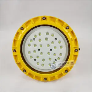 40W壁式led防爆灯_抗冲击防爆led灯_石油石化专用防爆灯批量供应