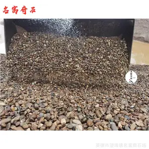 �㶫����ʯ֮�ң���԰�����̵ؽ���ʯ�ӣ��̻�����װ�ε�׺ʯ