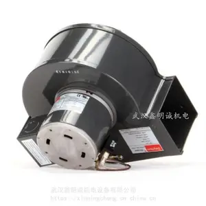 ����DAYTON���ٵ�����ķ�� ֱ���������1L520