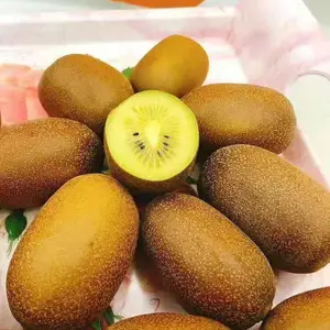 ⨺���Ʒ�� ���� ���� ���� ���ֵ� ���� ���� �� ���� �ƽ��⨺�����