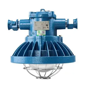 ú���þ���������DGS24/127L������LED����ƹ�Դ����220V