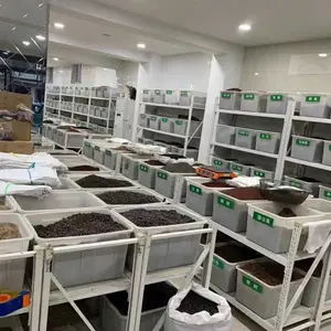 福禄考黄菖蒲花子玩具向日葵花种籽耧斗菜沙蒿草籽山樱桃榆叶梅