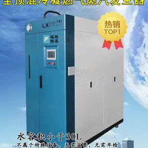蒸汽发生器 免报检型 工业商业均适用的全预混冷凝燃气蒸汽发生器