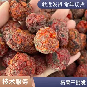 云缅边境原生态高山野果 花青素丰富 晒干帝王果 柘王果