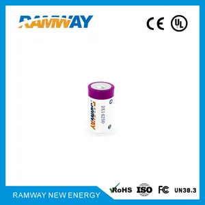 睿奕ramway 3.9V DX14250 GPRS/NBIoT/智能井盖/数据记录等专用电池