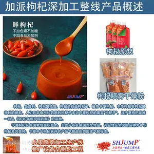 枸杞加工整套设备 枸杞干枸杞原浆加工生产线 枸杞喷雾干燥粉工艺