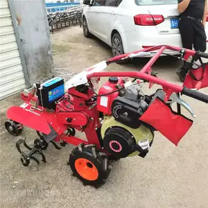 ��ʽ����С��ũ�������ڹ�����¢��ֽ���԰����������΢����