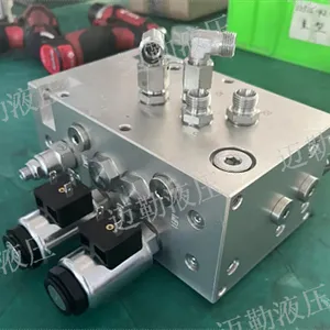 新疆橡塑机械阀组设计 贴心服务 上海迈勒液压技术供应