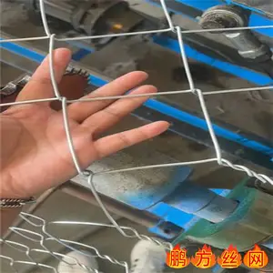 低碳包塑钢丝菱形网 边坡绿化镀锌勾花网 畜牧养殖拧花网