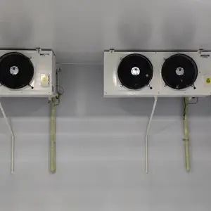 ��������ư�װ����ҽҩ�в�ҩ��ؿ��䶳��