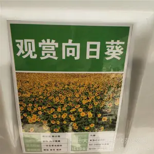 �����²��߲����� �������տ����� ��ѿ*** �۸���� ***
