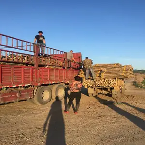����һ������������ ��ͷ�����¼���������