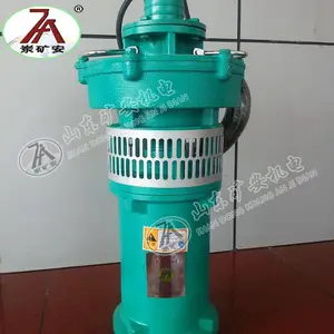 ����ֱ��BQS22KW����Ǳˮ��ɳ��� Я������BQS����Ǳˮ��ɳ���