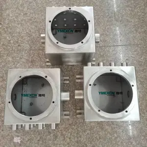 304����ַ�������� ��������ģ���� IIB/IIC����������䶨��