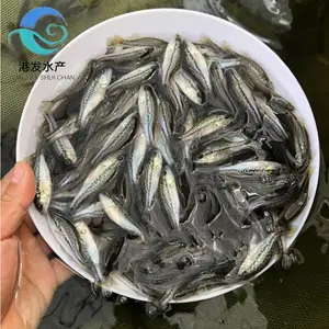 �۷�ˮ��Ʒ�������� ����������ֳ �˹�ѱ�� ֧�ּ���Ա����ָ��