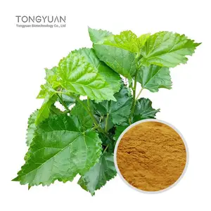 桑叶提取物厂家 药食同源桑叶原料提取 全水溶桑叶比例提取 桑叶浓缩粉10：1