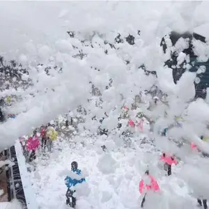 ������ͨѩ����������ѩ������