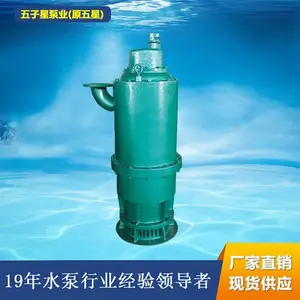 山东五子星BQS矿用隔爆型排沙排污泵铸铁BQS60-100/2-37/N