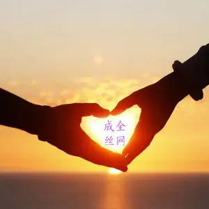 安平县成全丝网制造有限公司