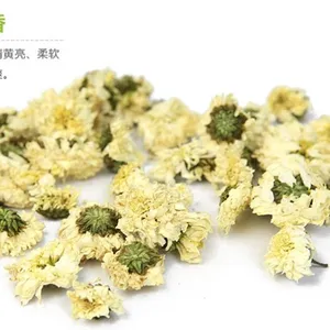 ***格经销商批发太阳菊七月菊产地经营可代理收购