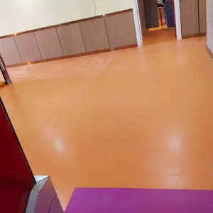 ¥��̤��PVC ̤���� ¥�ݷ��������׶�԰���ѧУר��¥�� �̳�����׽�
