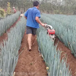 ũ��С�Ϳ����� �ڽ�����¢�� �ִ���⹵������