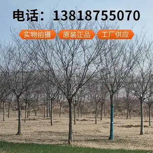 �ߴ��صذ�������ֱ���ͻ����š�