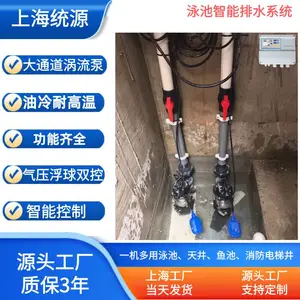 别墅泳池排水提升泵双泵智能全自动 统源泵业