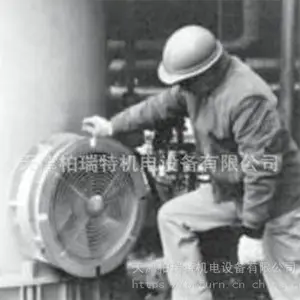 COPPUS风机_进口气动风机_空压排风机_反作用力压缩空气排风机_12英寸_江苏
