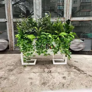 ������ֲ���� �ֻ������ֹ��� ����Ծ��