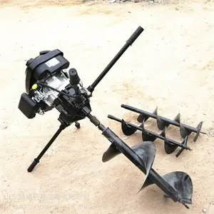 �����ӻ� ֲ���ڿӻ� ԰��ֲ����ӻ�
