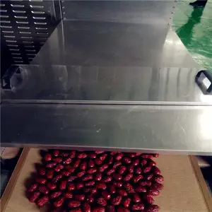 坚果微波杀菌机 干果烘干杀虫机 红枣杀虫卵设备