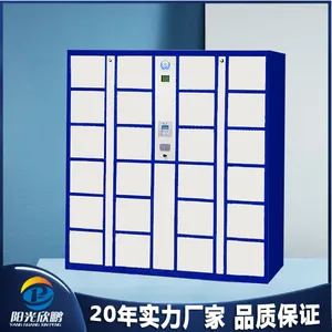 阳光欣鹏 涉案物品智能保管柜 多功能电子储物柜