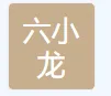 杭州六小龙电子科技有限公司