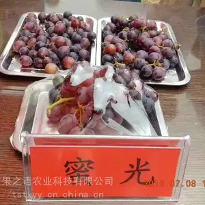 �����硢õ���������硢����5������������������������Ǽ���