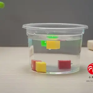 科普玩具-科学沉与浮的变化实验
