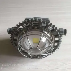 ��ɹ�ӦDGS40/127L(A)ú���ø�������������淢�� LED������