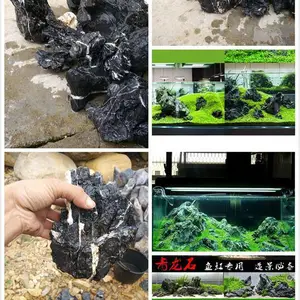 批发酸洗青龙石 鱼缸造景石.微景观造景石 草缸石