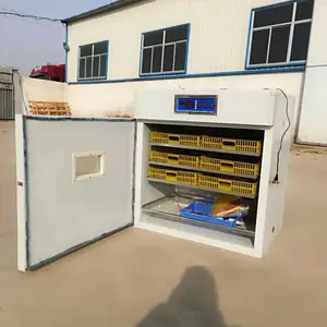 供应全自动ZN-1056SYJ智能小型家用养殖场用大型孵化机