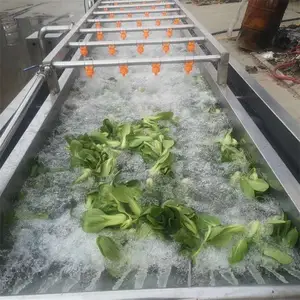 雨燕6000型气泡清洗机 连续式洗菜机 洗果机 韭菜清洗流水线