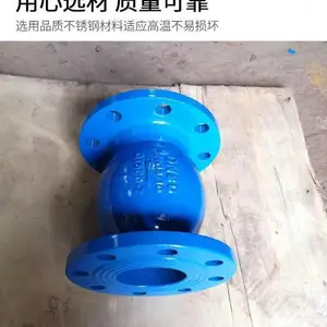 ��������ʽ���ܷ�ֹ�ط�HQ44X-10/16Q��ĥ������DN65