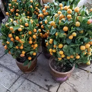������̨�·��ػ��������г�