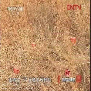 成威MCW固定式感温自启动水基灭火装置水剂自动灭火器装置4L
