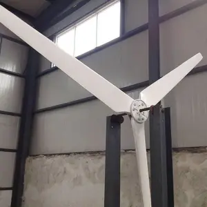 �ɳ�20kwˮƽ������������Ҷ3Ƭ��ǿ�����ֲ���