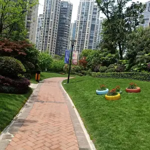 丽芳园林住宅小区绿化养护
